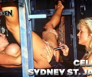 BRUCE SEVEN - Celeste and Sydney St James Strike the Dundeon